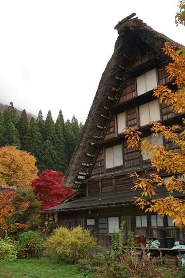 白川郷にて紅葉を楽しむ♪