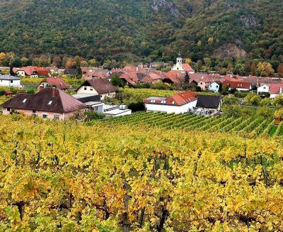 団塊夫婦のヨーロッパ紅葉を巡る旅・２０１８ー（14）オーストリア４・黄金色に輝くブドウ畑とかわいい町・ヴァッハウ渓谷を巡る