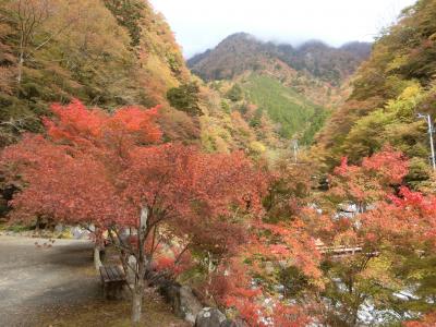 浜名湖へ！　その６　　帰りに梅ヶ島温泉に寄って紅葉を楽しみたかったのですが、まだ少し早かったかな？