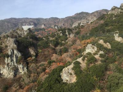 深夜のフェリーで行く香川① 晩秋の小豆島