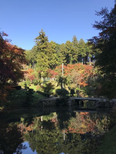 紅葉の穴場！兵庫県・丹波篠山の『洞光寺』と『アニス』でカフェ＆スイーツ