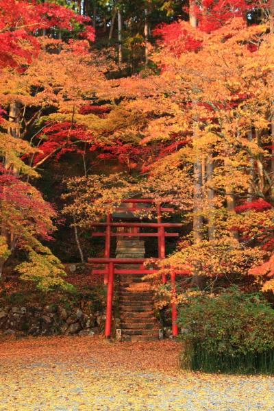 兵庫　紅葉めぐり～洞光寺、慧日寺、小新屋観音、荘厳寺、西林寺