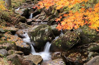 錦秋の宇津江四十八滝♪　期待以上の美しい紅葉と連続する滝の美しさに感動♪