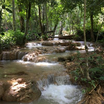 托鉢から朝が始まるルアンパバーンの旅　／　 2日目