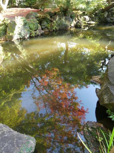 物外軒の紅葉_2018_ほんの一部、色付き始めています。（栃木県・足利市）