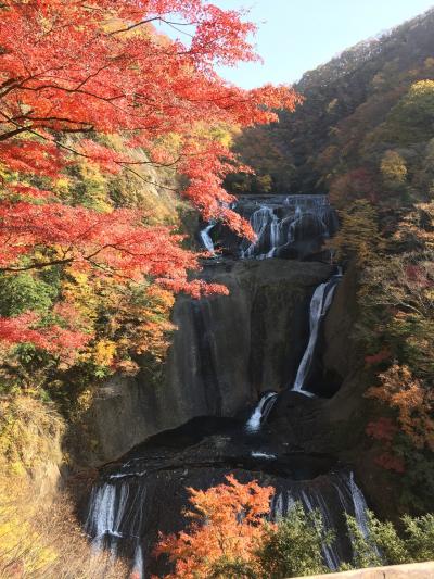 秋の茨城、絶景と紅葉の旅(日本三名瀑「袋田の滝」と「月待の滝」、そしてバンジージャンプも出来る「竜神大吊橋」に行って来ました)