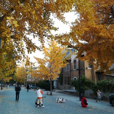 「坂の上の雲」の舞台を訪ねる　１日目