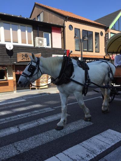 湯布院：２日目～ユキちゃんの辻馬車～