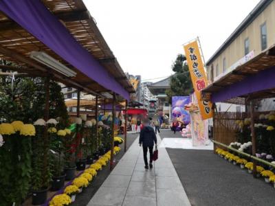 巣鴨・眞性寺の菊まつりへ2018～駅からハイキングに少しだけ参加してとげぬき地蔵もお参り～