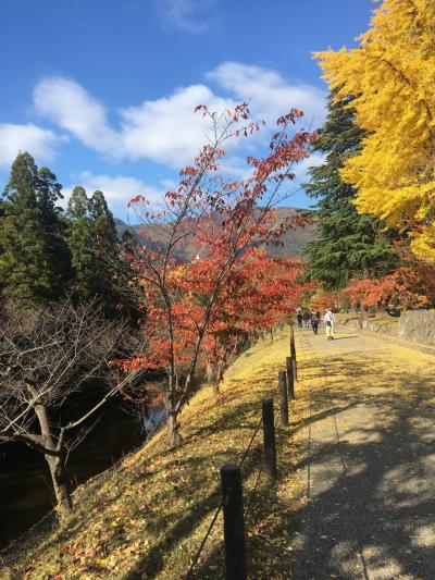 1泊2日上田～小諸 真田氏ゆかりの地一人旅ー1日目