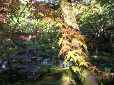 念願の京都/前編　憧れの南禅寺別荘群・小川治兵衛の作庭を見に♪