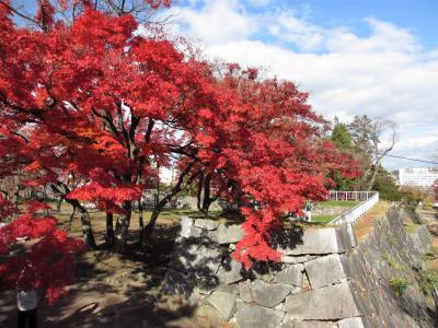 晩秋の盛岡～城址に紅葉が揺れて