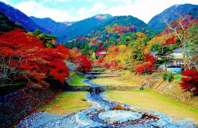 養老公園の紅葉 