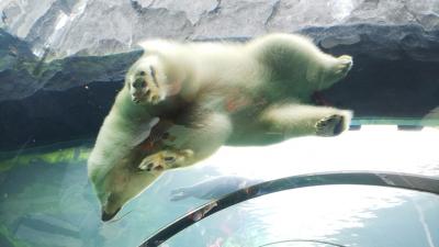 【次男初フライト】札幌男二人旅 初日&最終日