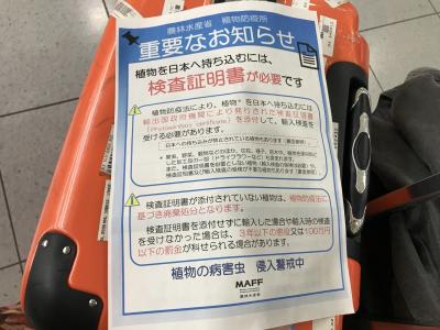 没収されます~いとしの野菜達