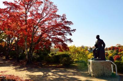 岡城の紅葉　2018