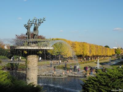 見頃を迎えた昭和記念公園の黄葉・紅葉