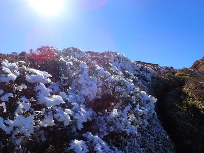 晩秋の奥祖谷と三嶺登山