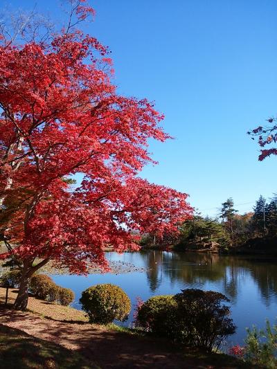 福島　蛇の鼻の紅葉、鶴ヶ城、南湖公園