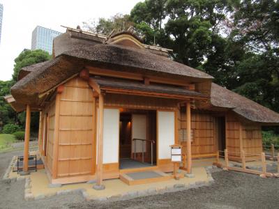 水辺のオアシス浜離宮恩賜庭園　