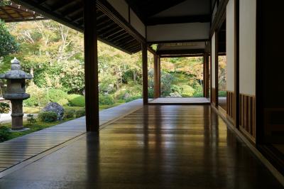 まだすこし紅葉には早いですが　混雑を避けての京都　泉涌寺雲龍院と鷹峰の源光庵に行ってみました　2018No2