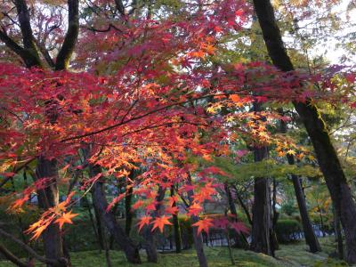 紅葉を求めて京都へ 