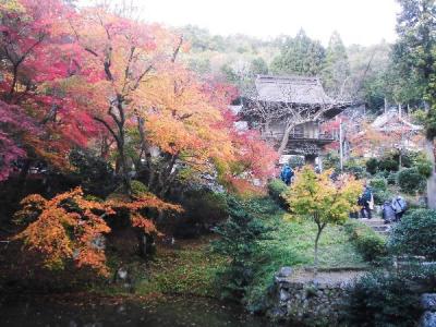 「奥丹波紅葉狩りバスツァー」