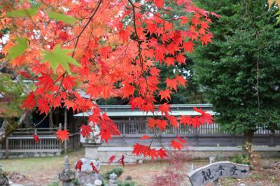 琵琶湖をぐるっと紅葉巡りのはずがちょっと早くで残念