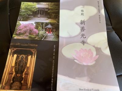 泉涌寺の塔頭(新善光寺)さんの魅力！