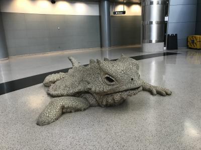 グランドサークルをレンタカーで周る旅　ラスベガスへ