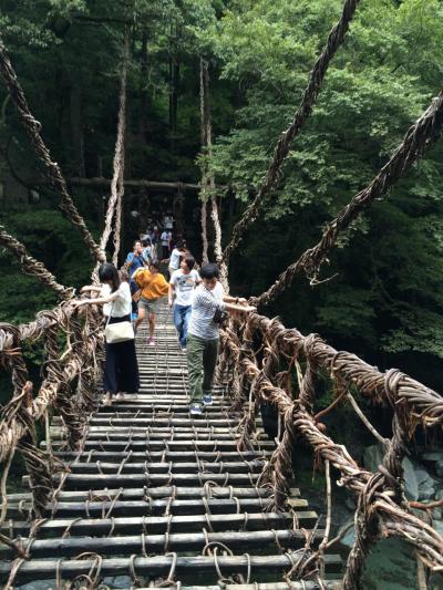 ４世代旅行！高知・徳島２泊３日、雨にも負けずの大満足旅。１日目。昼は祖谷のかずら橋渡りを楽しみ、夜は藁焼き鰹たたきに舌鼓！