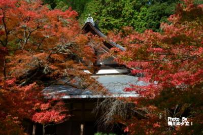 槇尾山　西明寺の紅葉！2018年