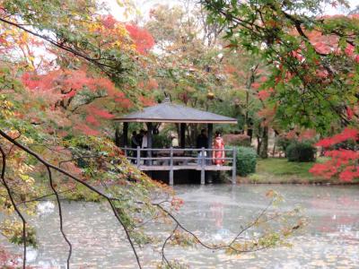 京都で楽しむ紅葉（二日目）ー糺の森、下鴨神社、上賀茂神社、府立植物園ー
