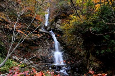 ◆会津下郷：紅葉三昧 (甲子大橋＆日暮の滝) 編