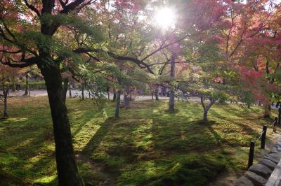 そうだ、今週も京都へいこー。ふらっと東福寺の紅葉へ。