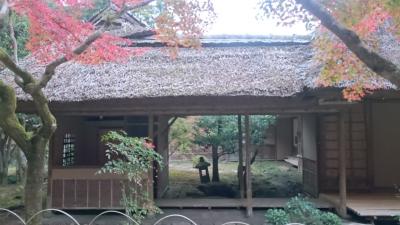 紅葉さるく  秋の九年庵～竈門神社を横断する！！