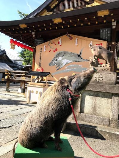 2018年11月　京都御苑中心に紅葉散策　今回もいろいろありました。夜は貴船へ　中編