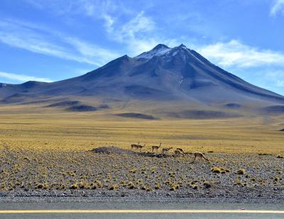 アンデス山脈を越えて、世界最高峰4000m超、天空の砂漠：『アタカマ砂漠』で美しい光景と、薄い空気に、くらくらでへろへろになる旅....#12....「ミスカンティ湖」（サンペドロ・デ・アタカマ San Pedro de Atacama／チリ）