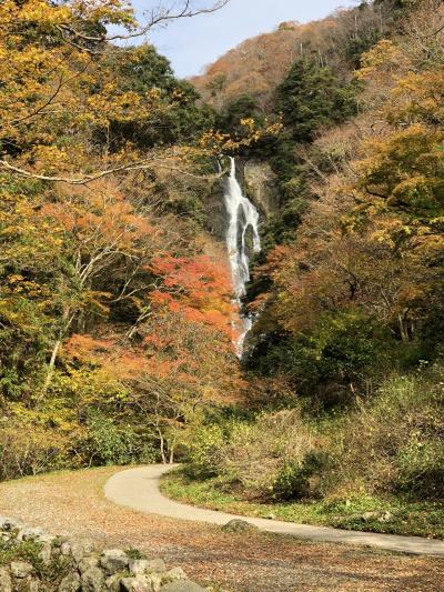 1年ぶりだね 松葉かに 1日目