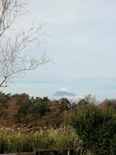 伊豆半島にも秋の訪れ