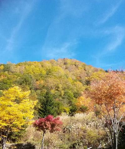 紅葉の平湯温泉・上高地