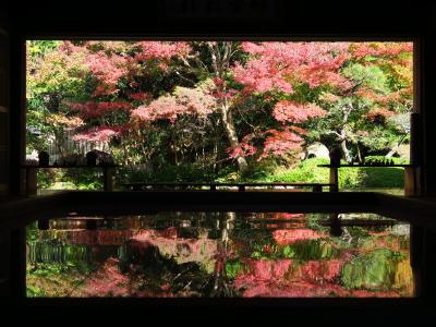秋の長崎（１）寿福寺の逆さ紅葉と佐世保バーガー