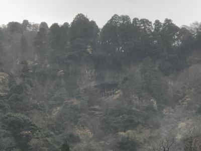 1年ぶりだね 松葉かに 2日目