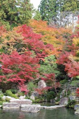 湖東・勝山・関・岐阜周遊／Day1 米原と百済寺