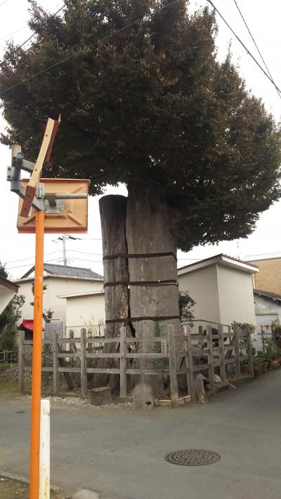立川をぶらりお散歩と、買い物と食事。