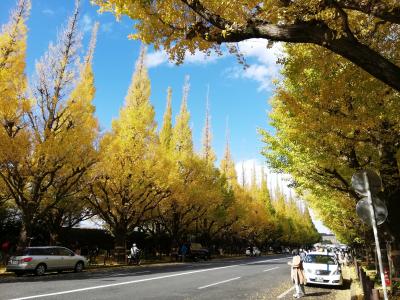 外苑のいちょう並木　　2018年11月