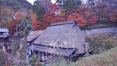 晩秋の鈴鹿・日本コバに登る