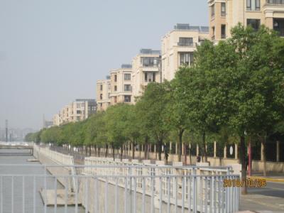 上海の浦江鎮・中層住宅群・再開発2018年