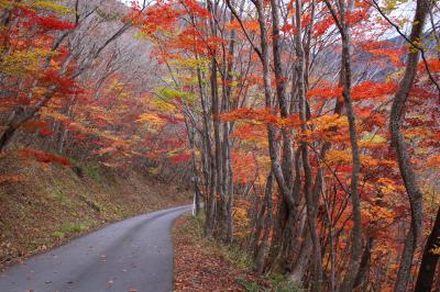 ◆会津下郷：紅葉三昧 (燃ゆる大峠林道) 編