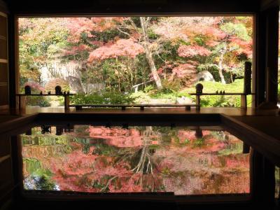 片田舎のお寺に☆逆さ紅葉☆